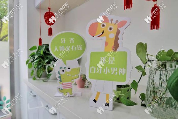 診室的小綠蘿